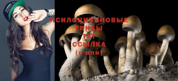 эйфоретик Беломорск