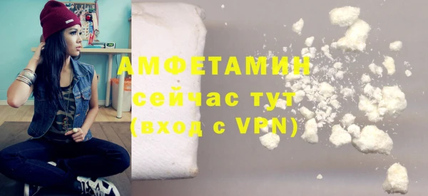 индика Белокуриха