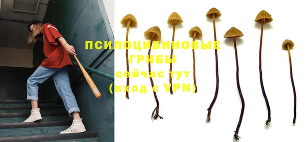 СК Богданович