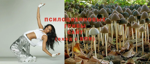 СК Богданович