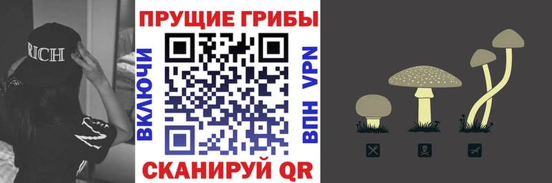 сайты даркнета официальный сайт  Бузулук  Галлюциногенные грибы Psilocybine cubensis 