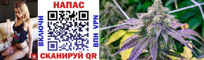 сколько стоит  Бузулук  гидра   Бошки марихуана OG Kush 